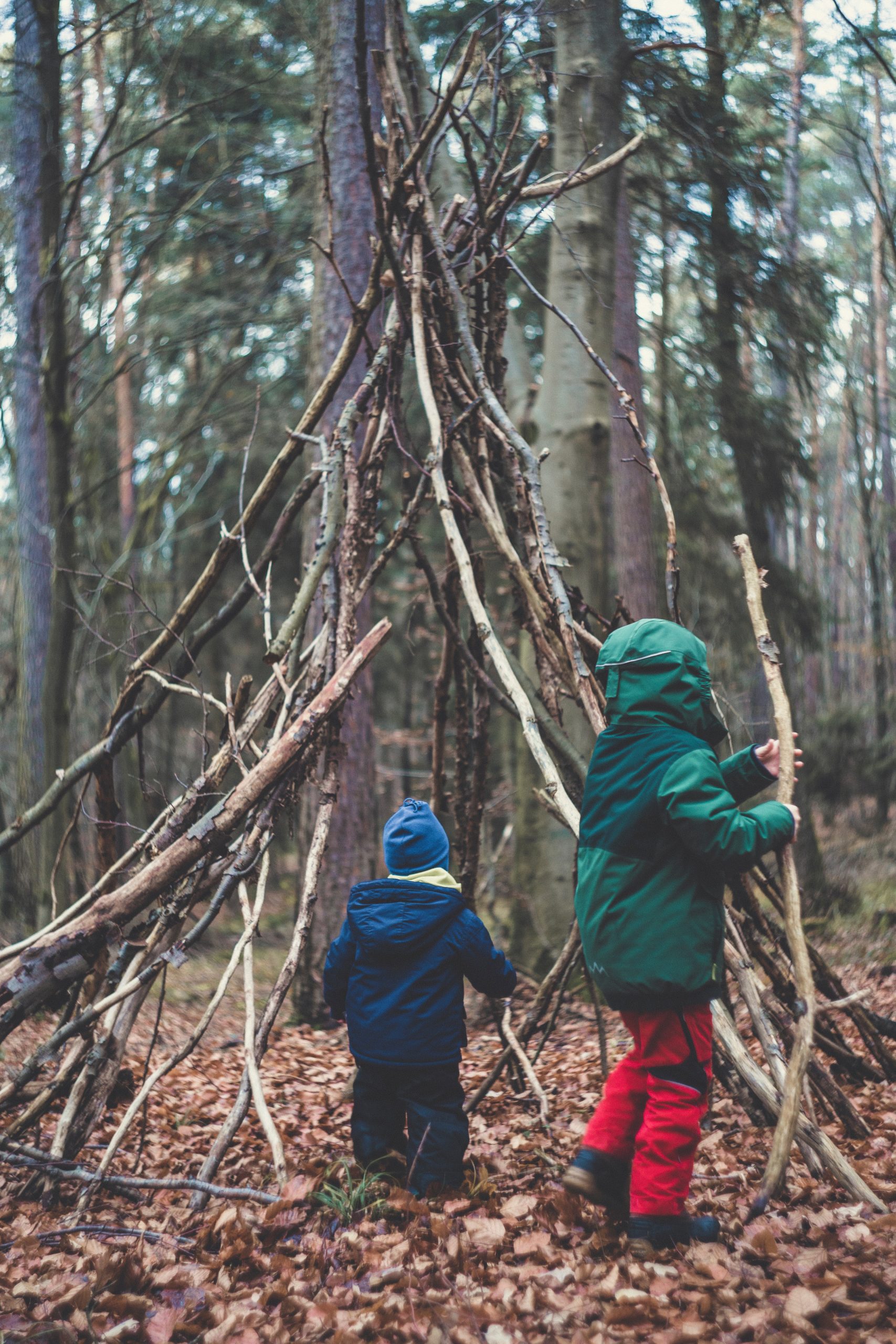 Children play in the forest and build a tent with sticks