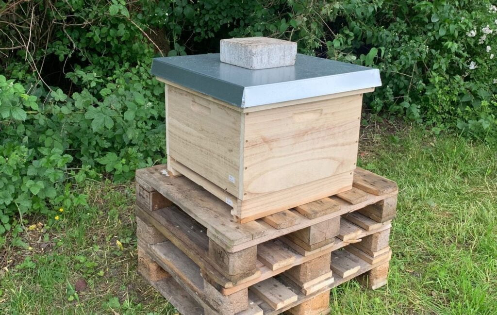 Buzz, buzz, buzz, little bee buzzing around! Our beehive! farm-kita-beehive-01-rotated-the-bees-summon
